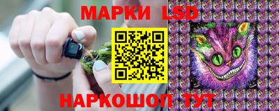 спиды Дмитров