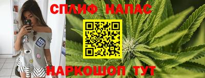 крисы Железноводск